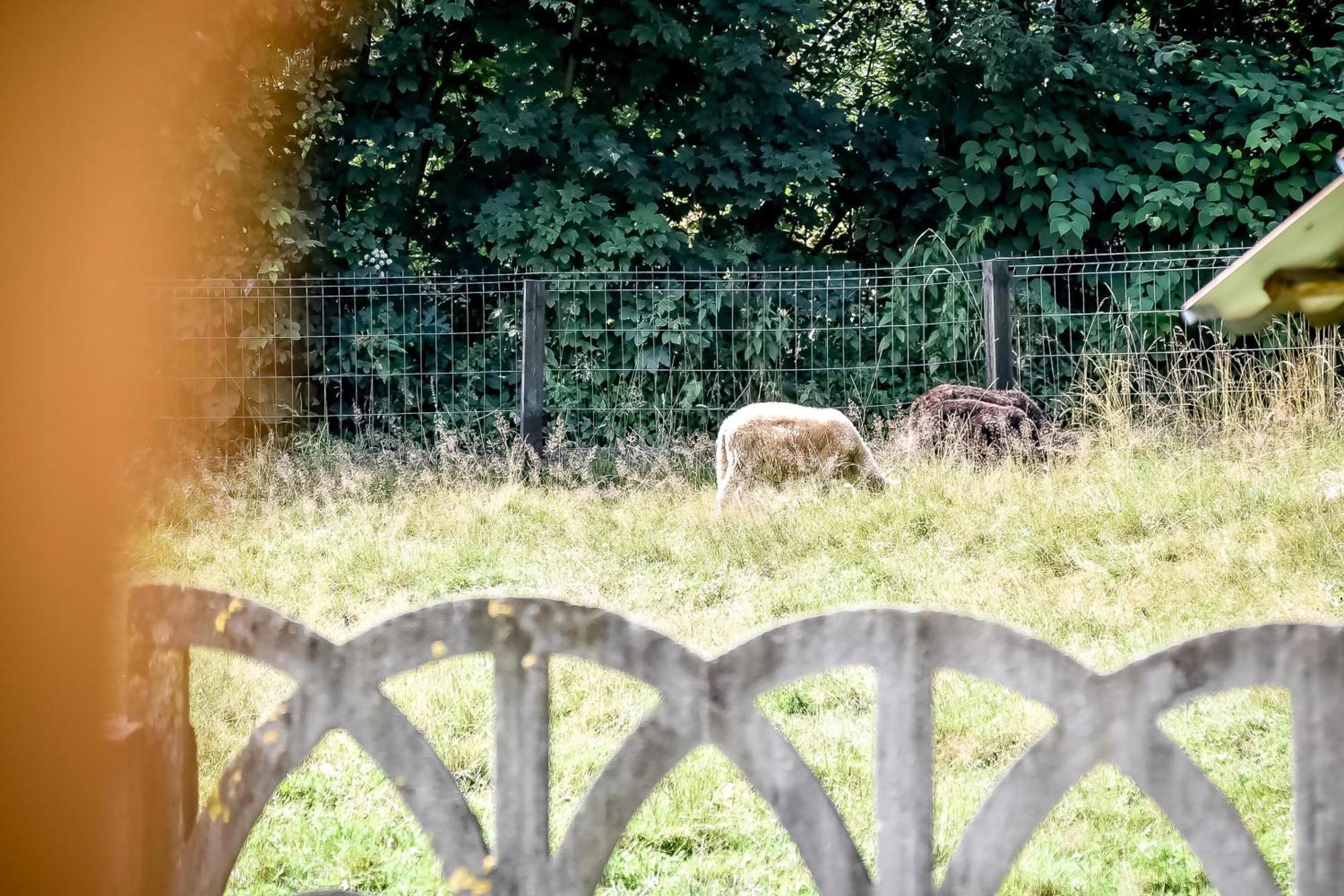Domek Pod Brzyzkiem Białka Tatrzańska Exteriér fotografie